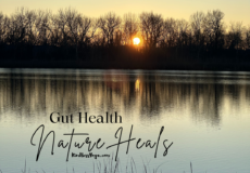 gut health time in nature and walking heals the gut