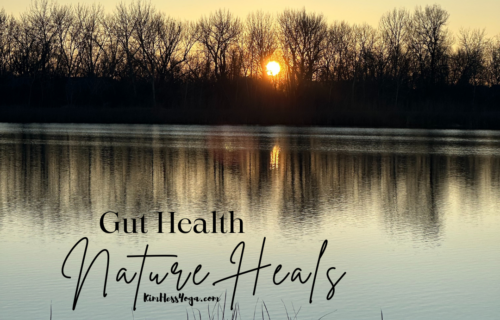 gut health time in nature and walking heals the gut