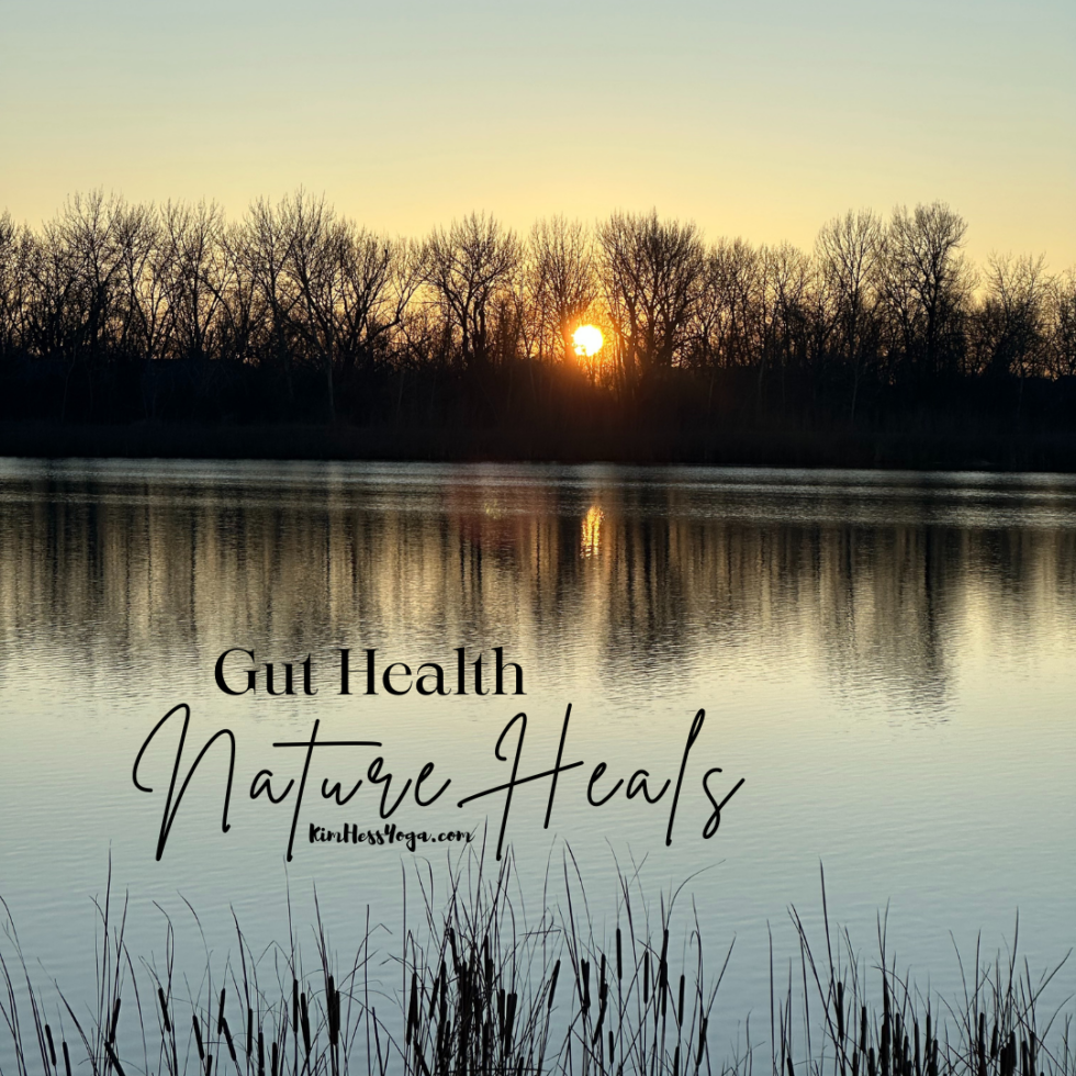 gut health time in nature and walking heals the gut